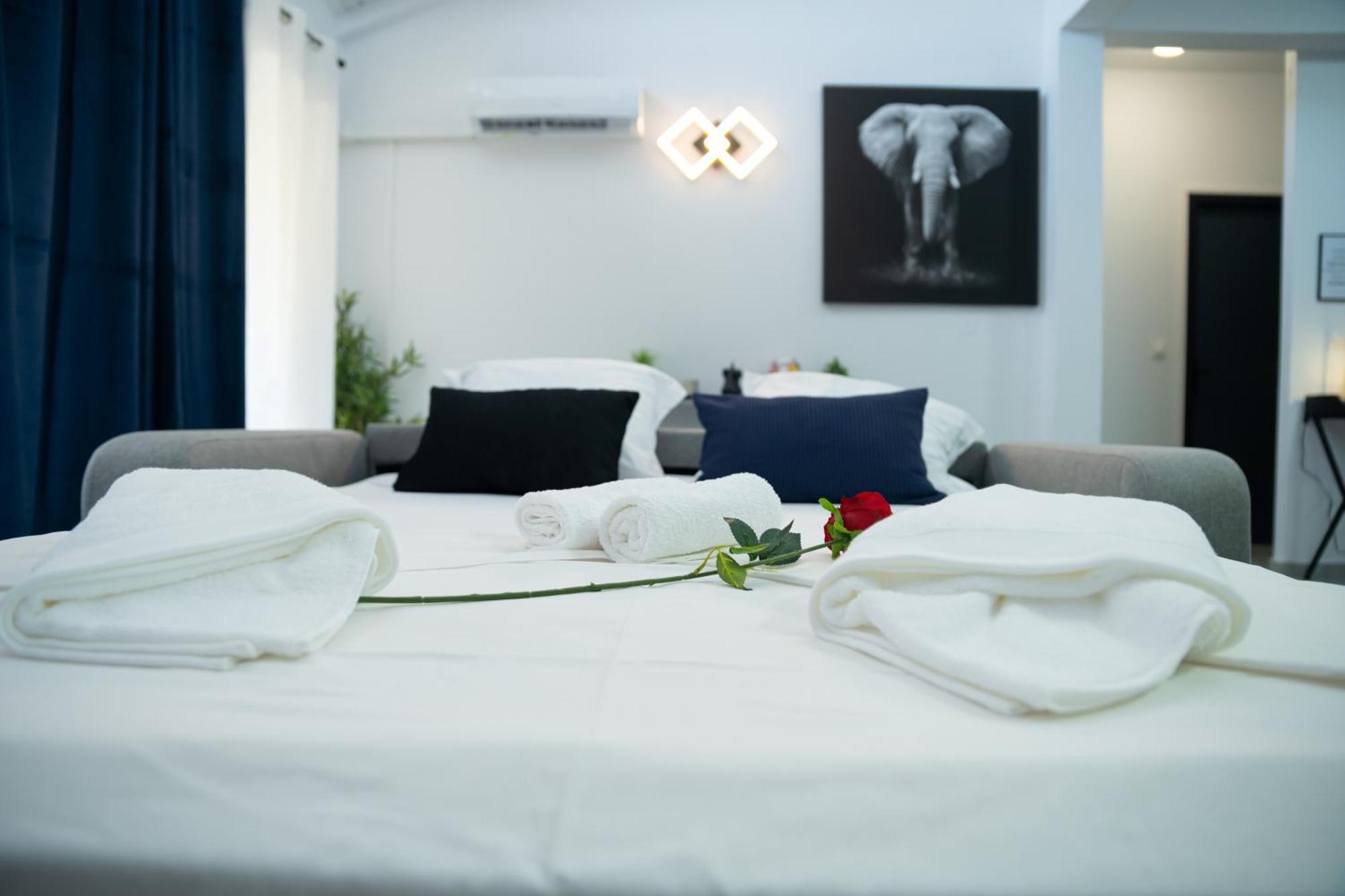 L'Elegance Citadine Daire Cayenne Dış mekan fotoğraf